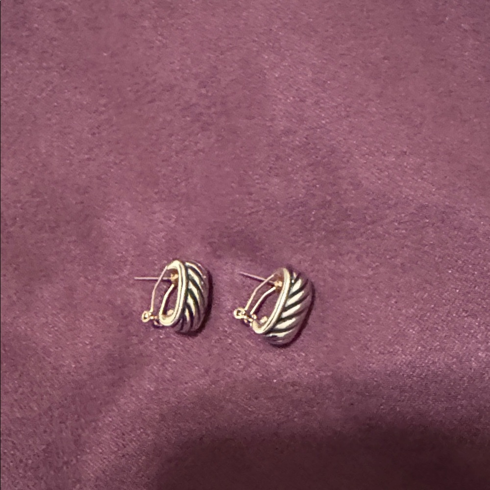 Silver Hoop Earrings